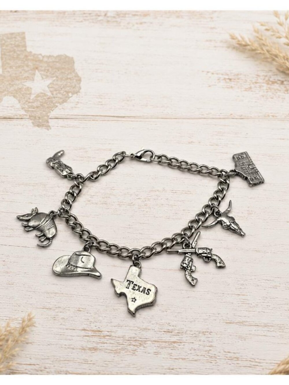 Texas Charm Bracelet Silver Tone Western Cowboy Hat Armadillo Longhorn 7 in